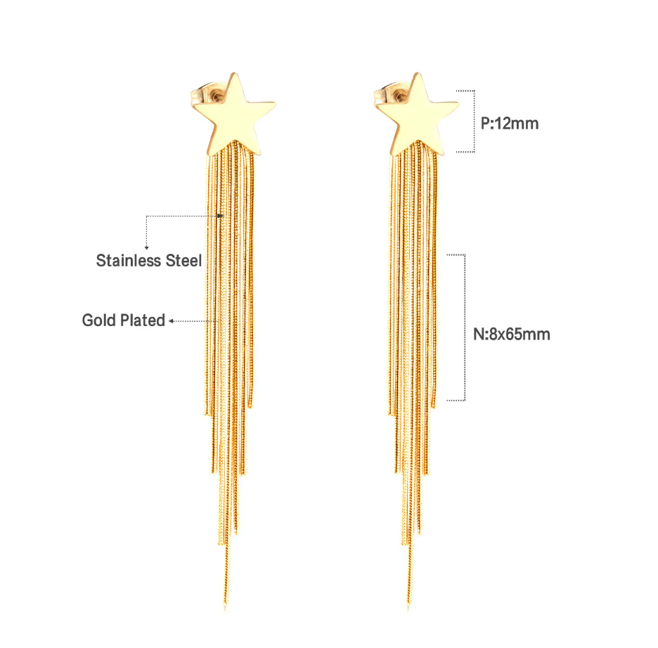 Tassel Star Earrings